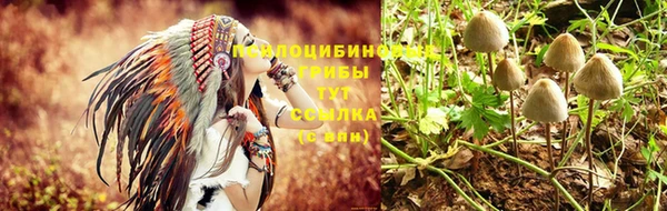 крисы Абдулино