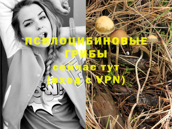 крисы Алексин