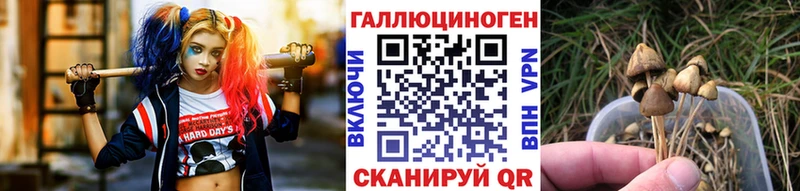 Галлюциногенные грибы мухоморы  дарк нет формула  Талдом  где купить наркоту 